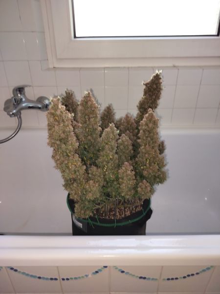 Review photo #2