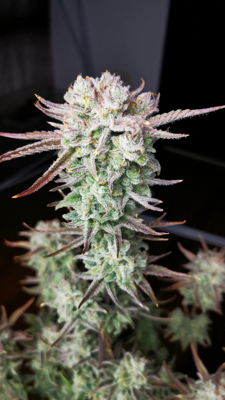 Review photo #4