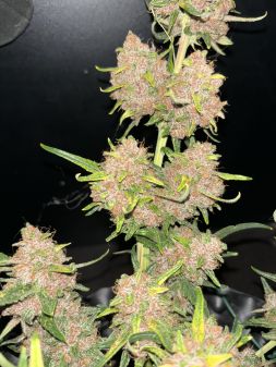Review photo #3