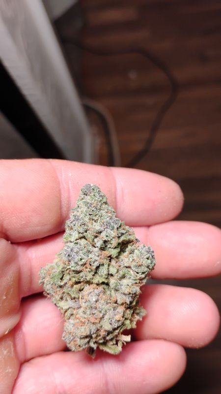 Review photo #2