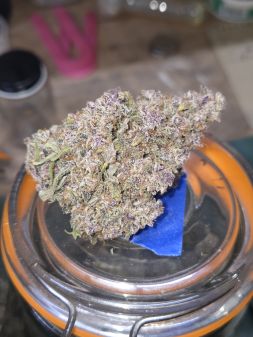 Review photo #1