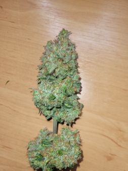 Review photo #3