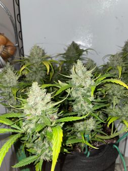 Review photo #3