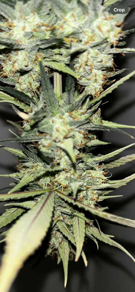 Review photo #3