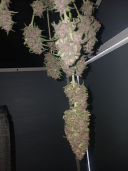 Review photo #2