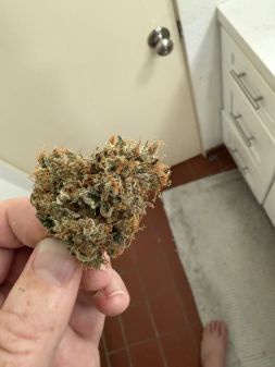 Review photo #2