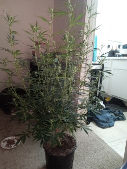 Review photo #1
