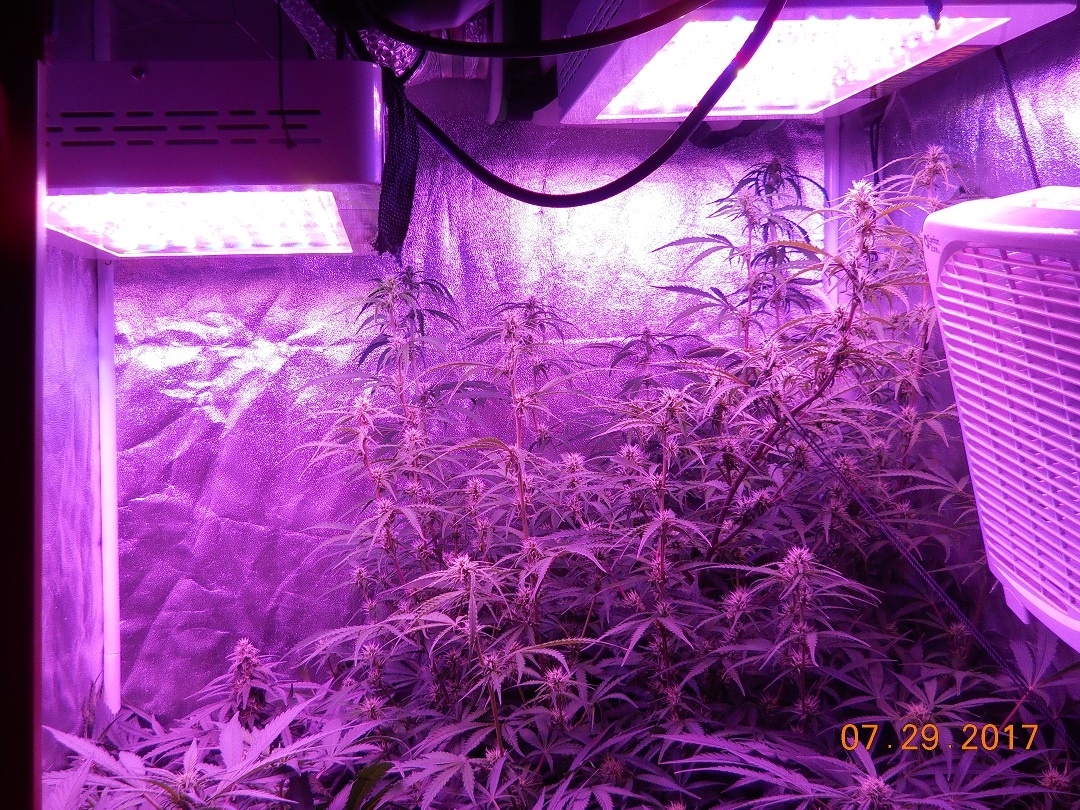 Review photo #2