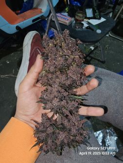 Review photo #2
