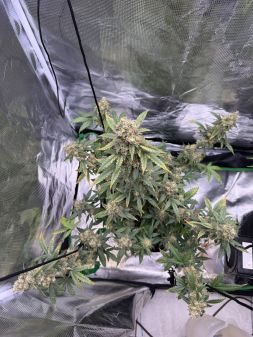 Review photo #5