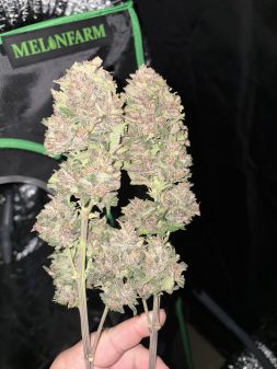 Review photo #2