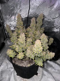 Review photo #2