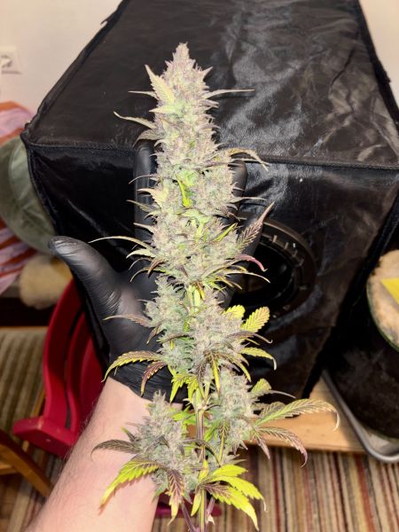Review photo #5