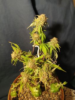 Review photo #6