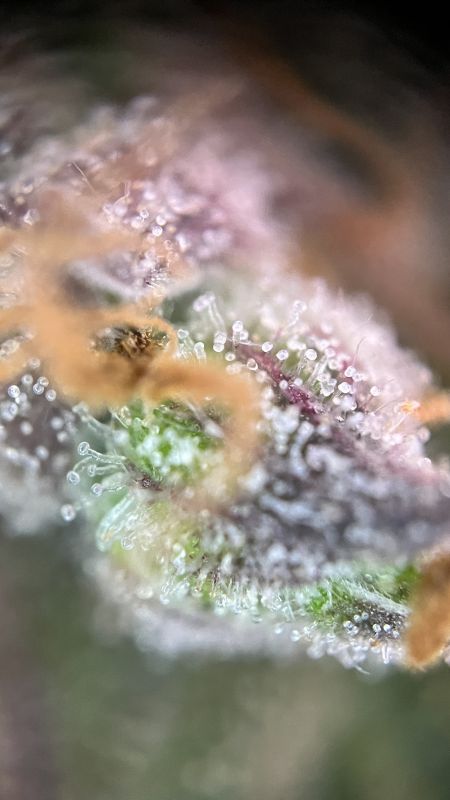 Review photo #5