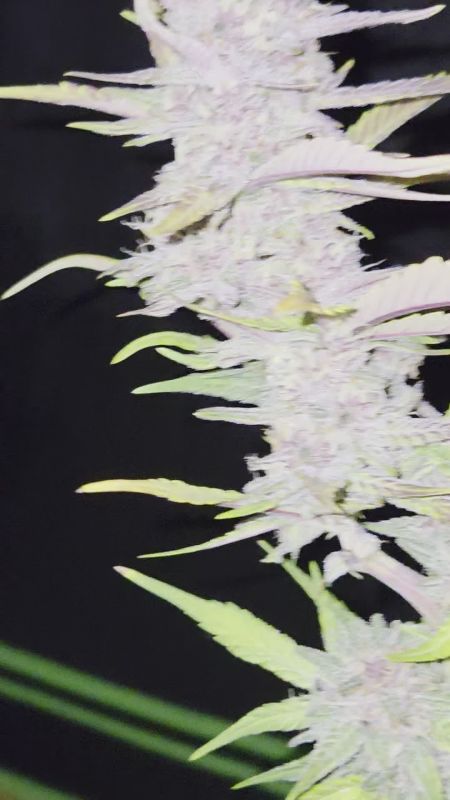 Review photo #1