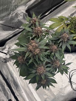 Review photo #2