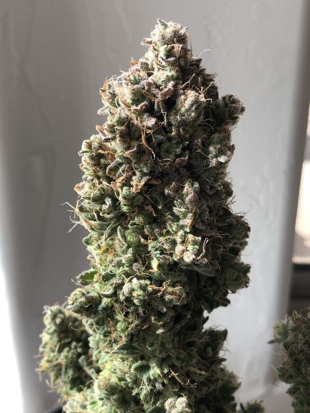 Review photo #3