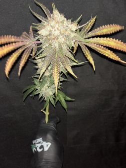 Review photo #1