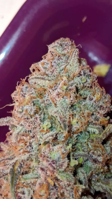 Review photo #5