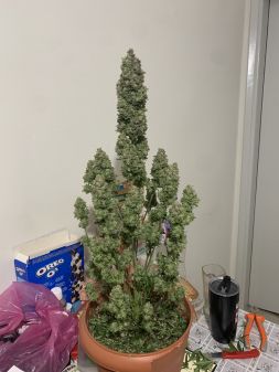 Review photo #3