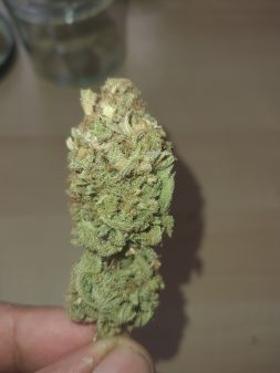 Review photo #2