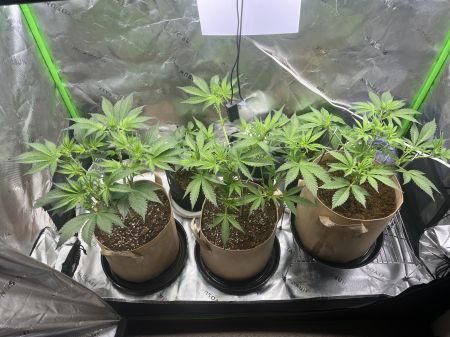 Review photo #2