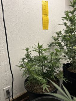 Review photo #1