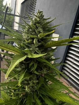 Review photo #4