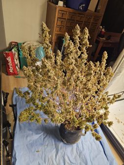 Review photo #3