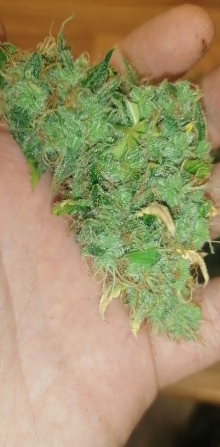 Review photo #1