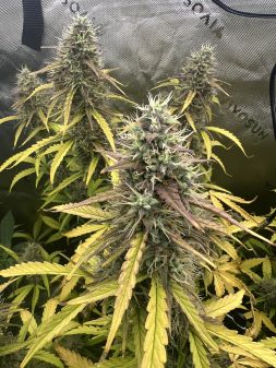 Review photo #5