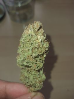 Review photo #4