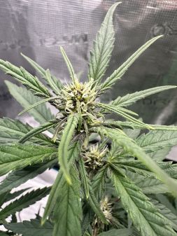 Review photo #15