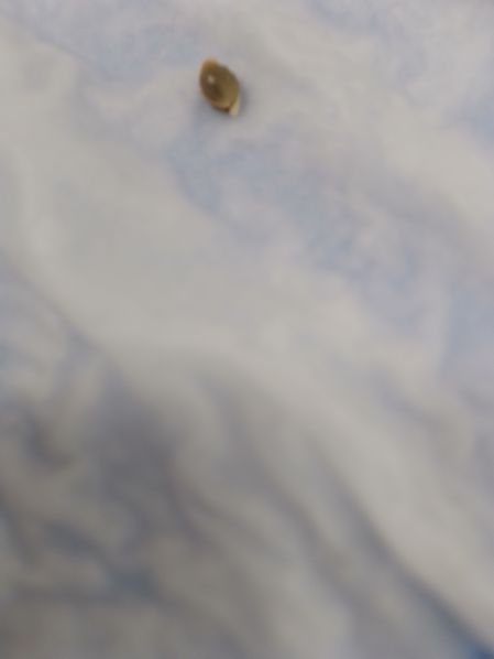 Review photo #4