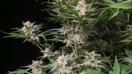 Review photo #5
