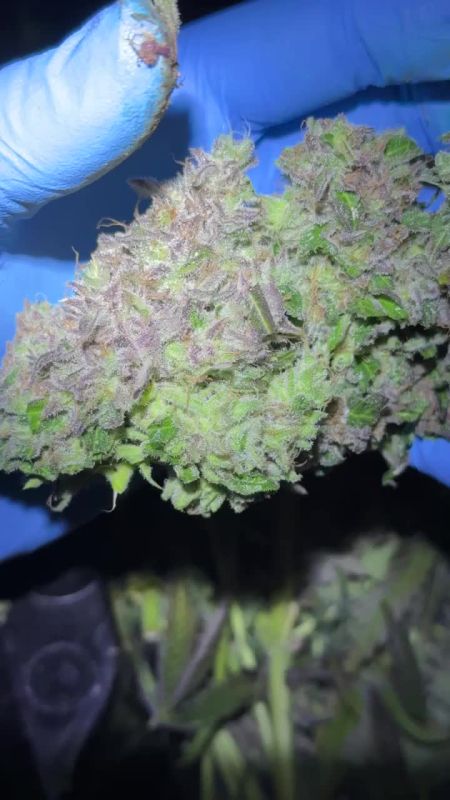 Review photo #6