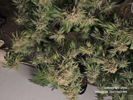 Review photo #3