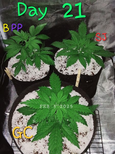 Review photo #5