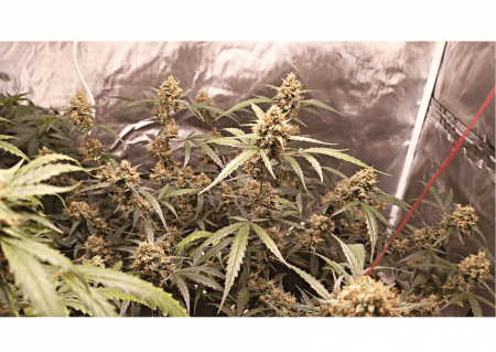 Review photo #3