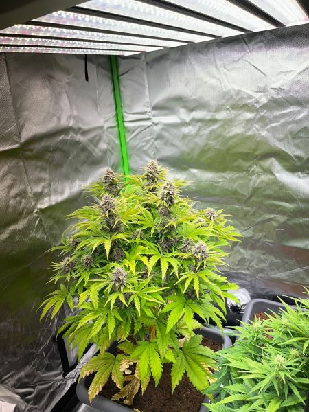 Review photo #2