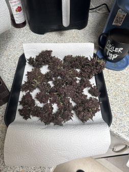 Review photo #1