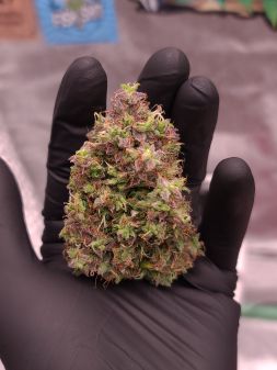 Review photo #1