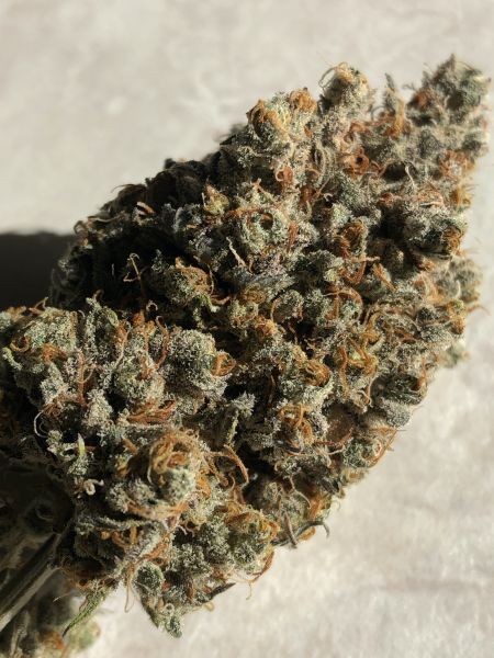 Review photo #5