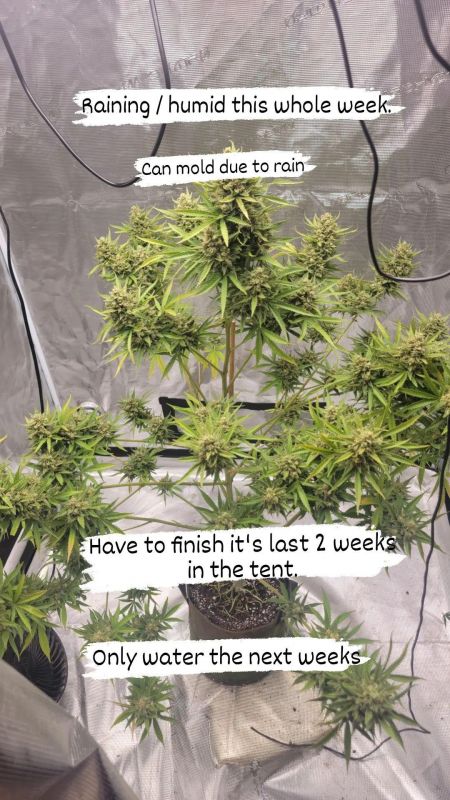 Review photo #1