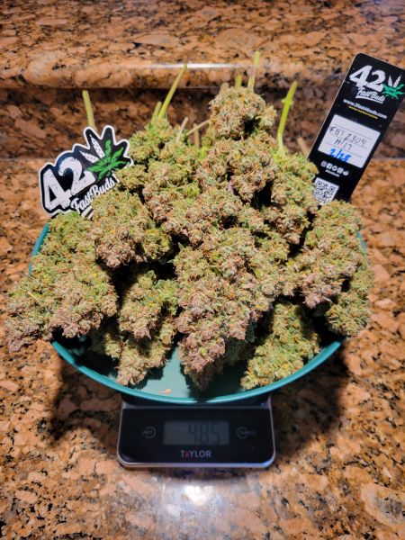 Review photo #8