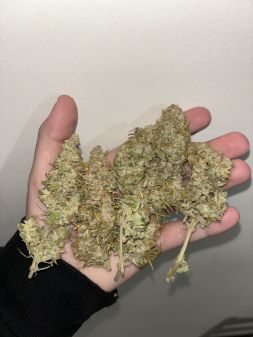 Review photo #2