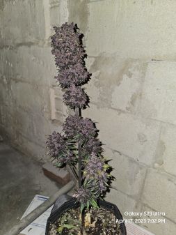 Review photo #3