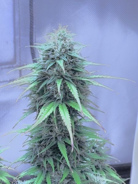 Review photo #3