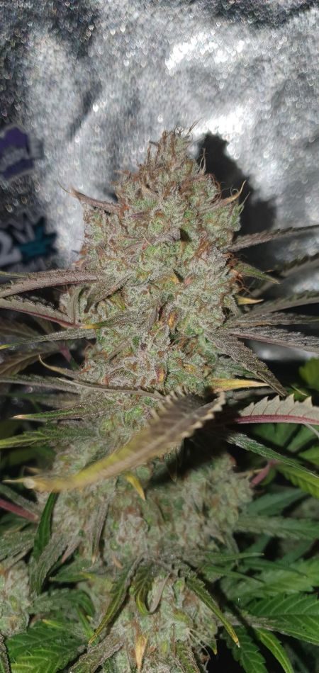 Review photo #2